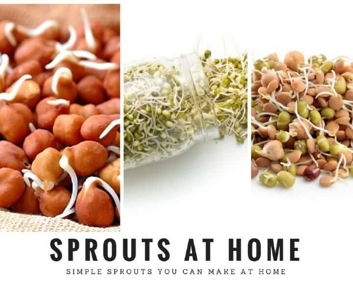 Sprouts for Low Carb Diet