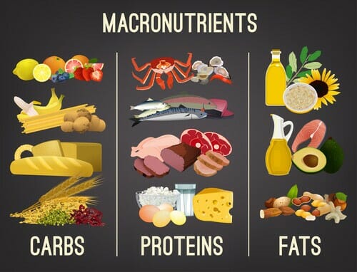 Importance of Macronutrients