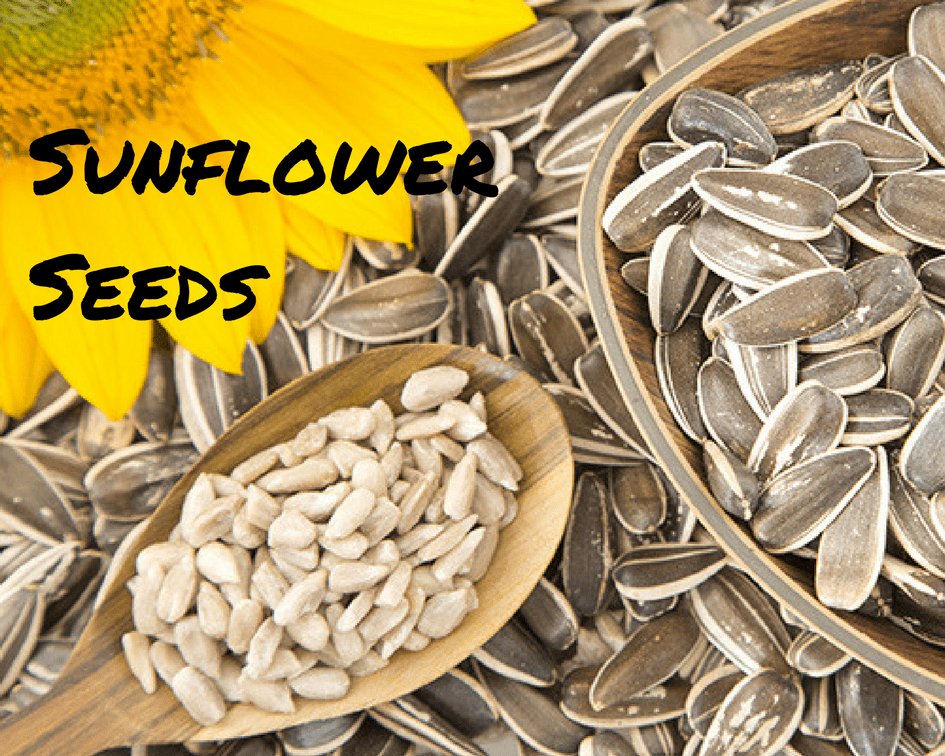 Sunflower Seeds