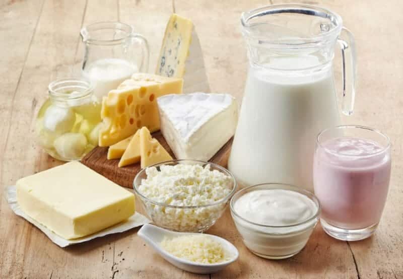 Dairy Proteins for Low Carb Vegetarian Diet