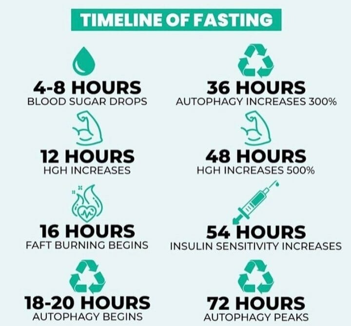 What happens to the body during Intermittent Fasting