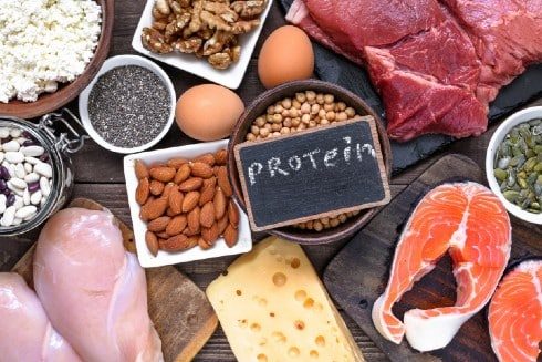 The Power of Protein